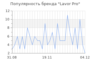 Популярность бренда lavor pro