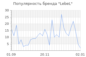 Популярность бренда lebel