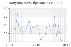 Популярность бренда lemaire