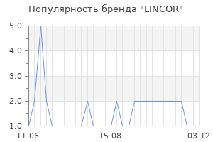 Популярность бренда lincor