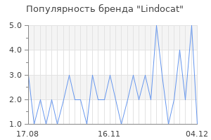 Популярность бренда lindocat