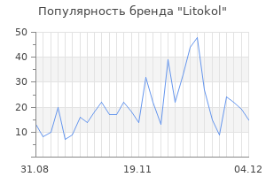 Популярность бренда litokol