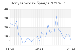 Популярность бренда loewe