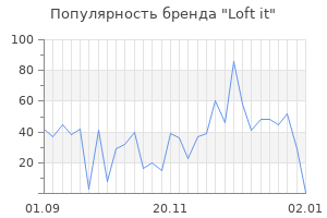 Популярность бренда loft it