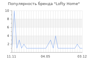 Популярность бренда Lofty Home