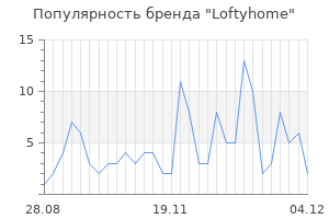 Популярность бренда loftyhome