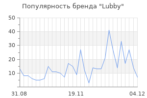 Популярность бренда lubby