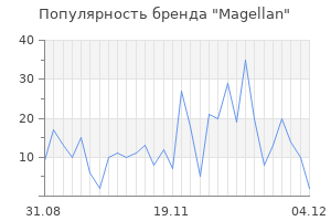 Популярность бренда magellan