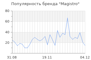 Популярность бренда magistro