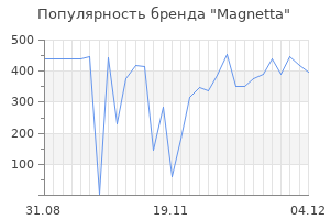Популярность бренда Magnetta