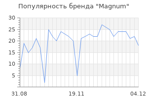 Популярность бренда magnum