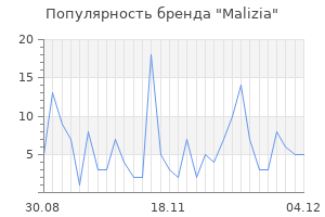 Популярность бренда malizia