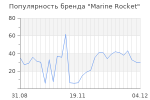 Популярность бренда marine rocket