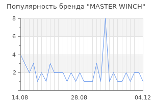 Популярность бренда MASTER WINCH