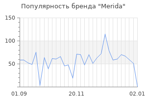 Популярность бренда merida