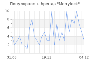 Популярность бренда merrylock