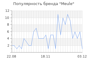 Популярность бренда meule