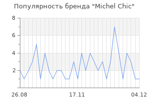 Популярность бренда michel chic