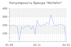 Популярность бренда michelin