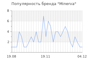 Популярность бренда minerva