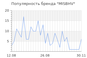 Популярность бренда misbhv