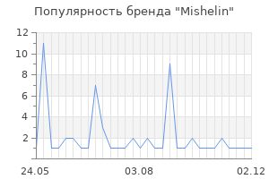 Популярность бренда mishelin