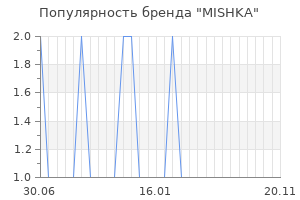 Популярность бренда mishka