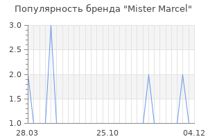 Популярность бренда mister marcel