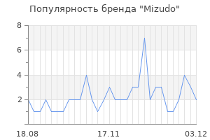 Популярность бренда mizudo