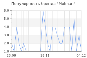 Популярность бренда molinari