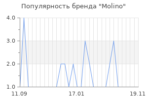 Популярность бренда Molino