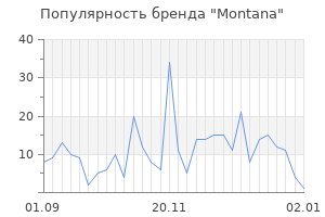 Популярность бренда montana