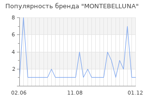 Популярность бренда montebelluna