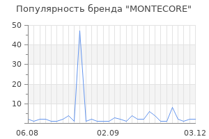 Популярность бренда montecore