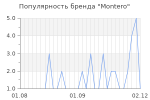 Популярность бренда montero