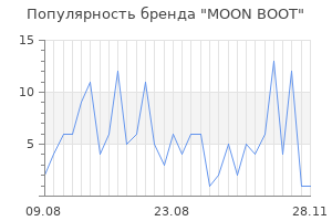 Популярность бренда moon boot