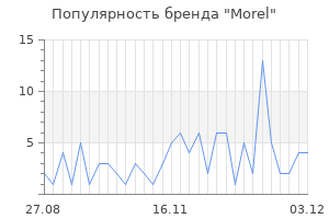 Популярность бренда morel