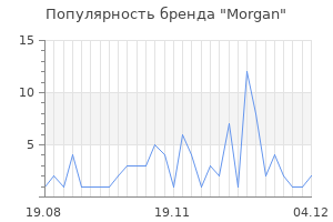 Популярность бренда morgan