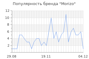 Популярность бренда morizo