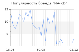 Популярность бренда na kd
