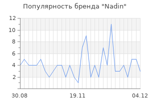 Популярность бренда nadin