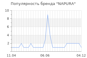 Популярность бренда napura
