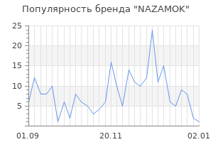 Популярность бренда NAZAMOK