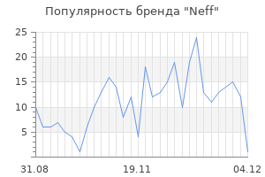Популярность бренда neff