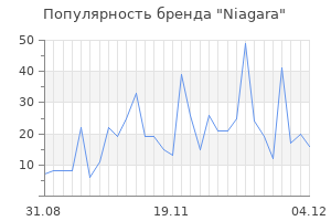 Популярность бренда niagara