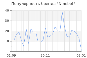 Популярность бренда ninebot