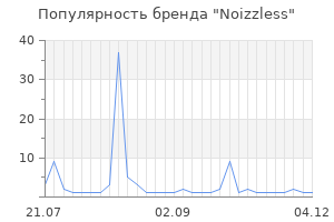 Популярность бренда noizzless