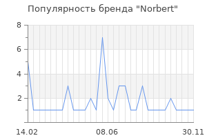 Популярность бренда norbert