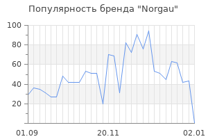 Популярность бренда norgau