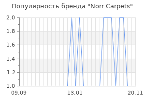 Популярность бренда Norr Carpets